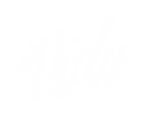 vidy-white